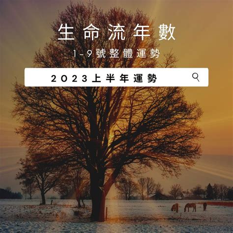 2023生命靈數流年8